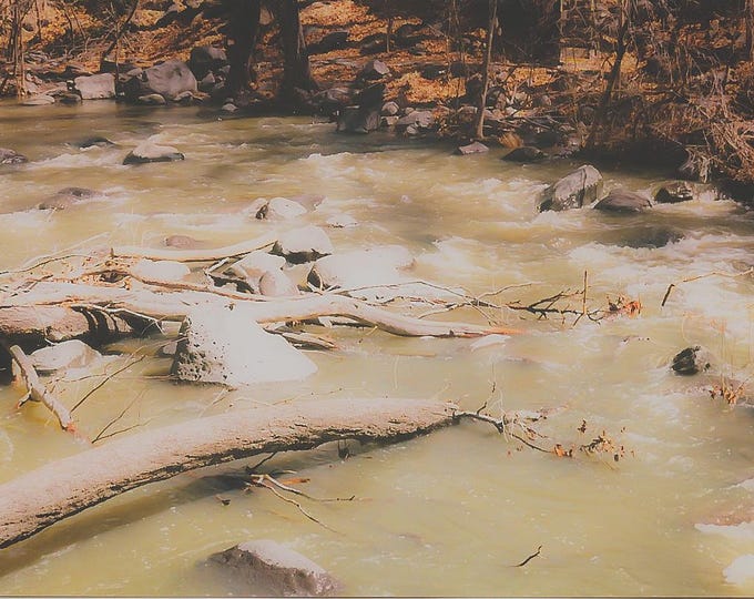 The product is a photograph titled "Muddy Waters Creek."