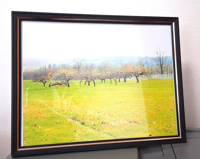 The Print is a colorful bright green forest clearing showcasing the beauty of nature with vibrant hues