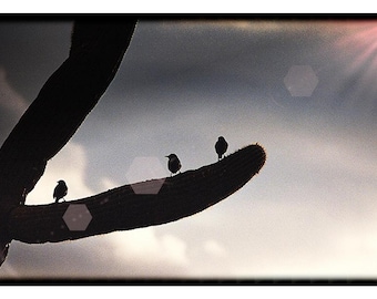 The photo of "Birds on a Cactus" is an art print featuring a unique and whimsical scene of birds perched on a cactus