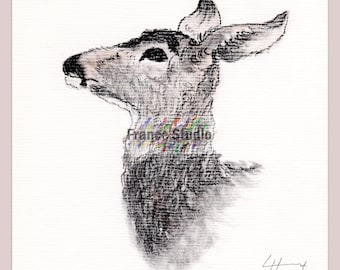 Print of a Charcoal Drawing of a Doe Named 'Oh Deer!' With Border 8x10 No Frame