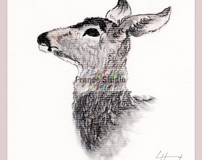 Print of a Charcoal Drawing of a Doe Named 'Oh Deer!' With Border 8x10 No Frame