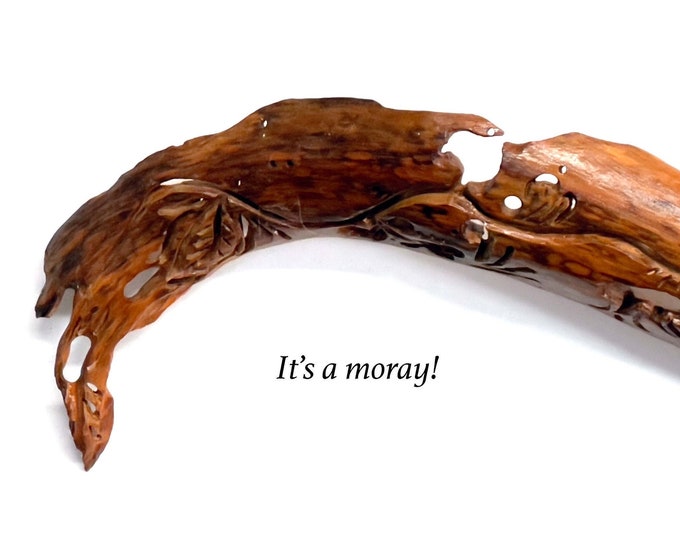 It's a moray- abstract wood sculpture