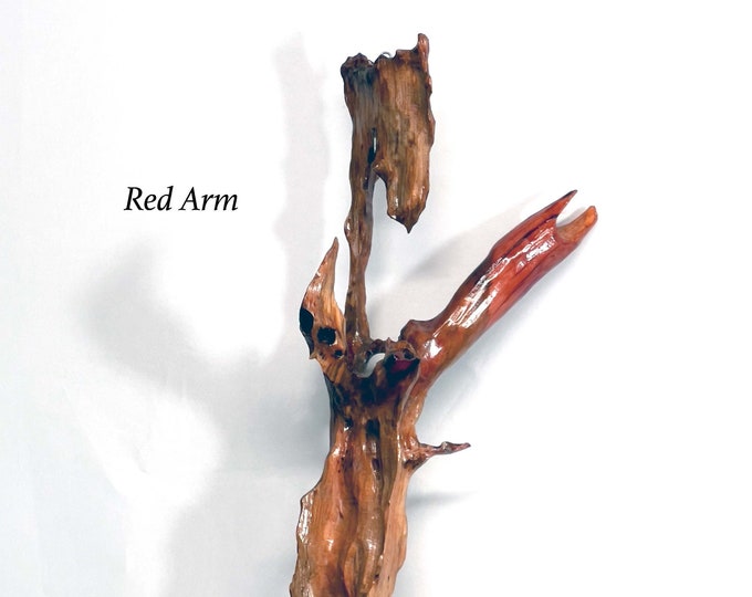 Red Arm - abstract wood sculpture