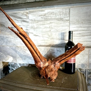 Don&#39;t Steer Me Wrong - abstract wood sculpture