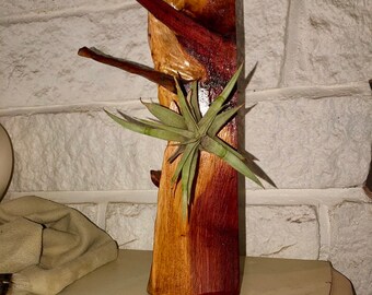 Wood Sculpture/Airplant Holder