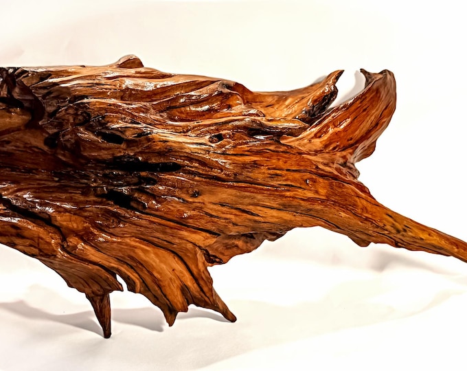 Giant Shark - abstract wood sculpture