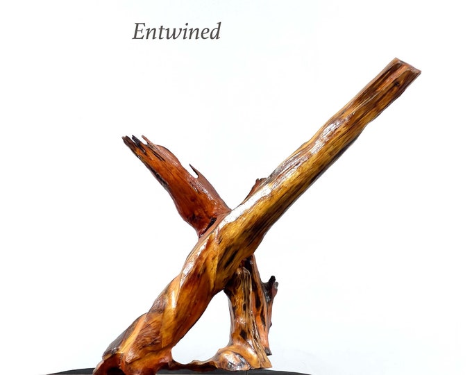 Entwined - abstract wood sculpture