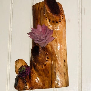 Small Engraved Airplant Wallhanging #20