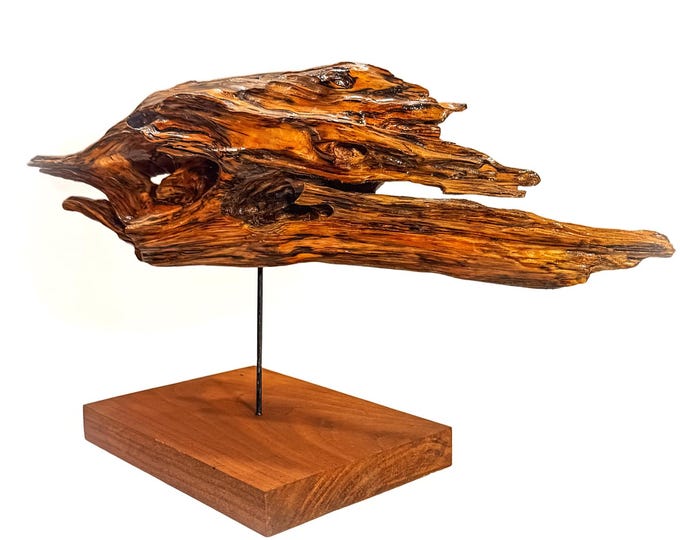 Fancy Fish - abstract wood sculpture