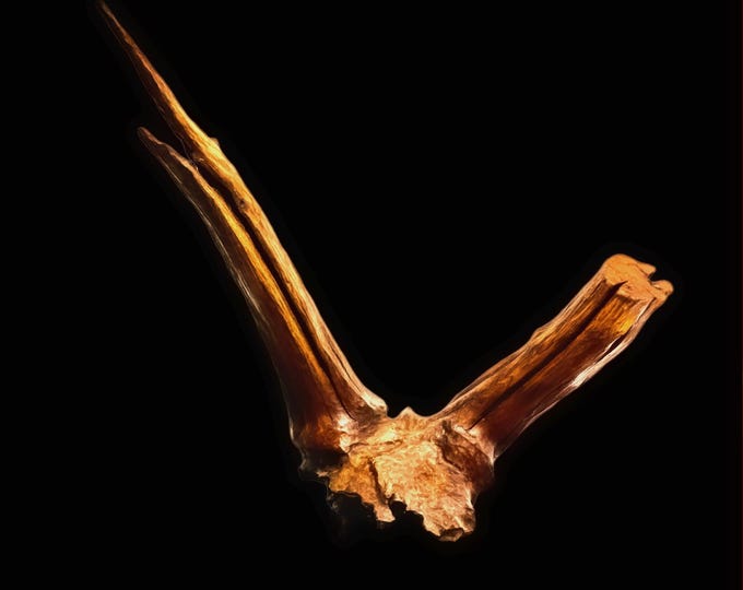 Don't Steer Me Wrong - abstract wood sculpture