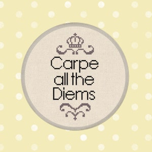 Carpe all the Diems Cross Stitch Pattern. Quote Modern Simple Cute Counted Cross Stitch Pattern PDF Instant Download