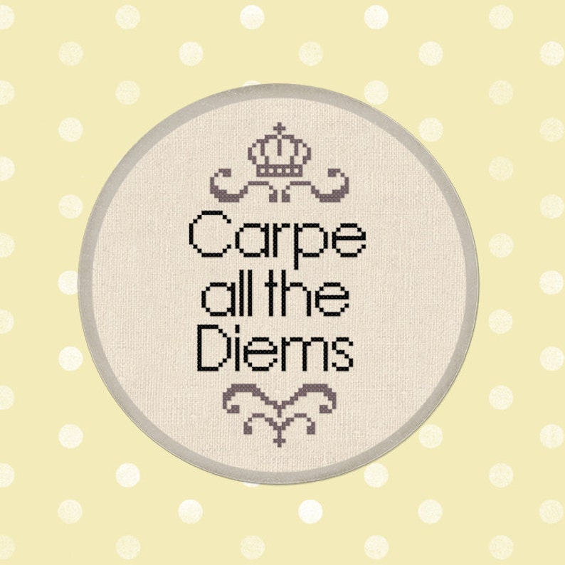 Carpe all the Diems Cross Stitch Pattern. Quote Modern Simple Cute Counted Cross Stitch Pattern PDF Instant Download image 1