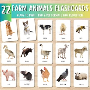 Cartes flash pour enfants, ANIMAUX DE LA FERME (vraies images), cartes animaux de la ferme, cartes flash Montessori, cartes préscolaire, cartes éducatives imprimables