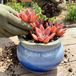 5.5” Handmade Floral Basin | High-Temperature Fire, Fade-Resistant, Outdoor Safe