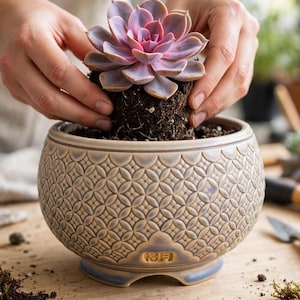 May include: A round ceramic planter with a light blue and tan glaze featuring a repeating geometric pattern of circles and diamonds. The planter has a small base with an arched cutout and embossed characters near the bottom rim, holding a succulent.