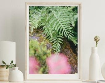 Fern and Moss Giclée Print: Limited Edition Botanical Wall Art