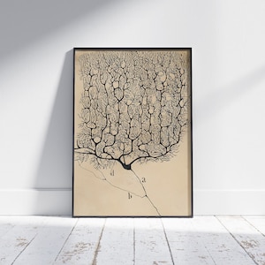 Neuron Painting: Santiago Ramón y Cajal Reproduction Canvas