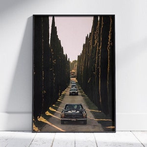 May include: A black vintage car drives down a long road lined with tall, dark green cypress trees. The car is surrounded by other vintage cars, all driving in the same direction. The road is paved and the trees are evenly spaced on either side of the road.