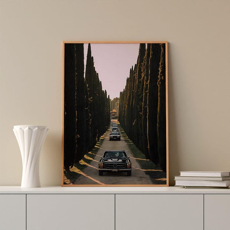 May include: A black vintage car drives down a long road lined with tall, dark green cypress trees. The car is surrounded by other vintage cars, all driving in the same direction.