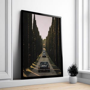 May include: A black vintage car driving down a long, tree-lined road. The trees are tall and slender, creating a tunnel effect. The car is driving towards the end of the road, which is obscured by the trees.