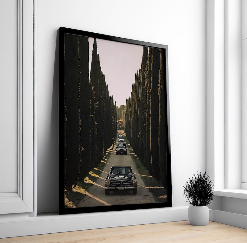 May include: A black vintage car driving down a long, tree-lined road. The trees are tall and slender, creating a tunnel effect. The car is driving towards the end of the road, which is obscured by the trees.
