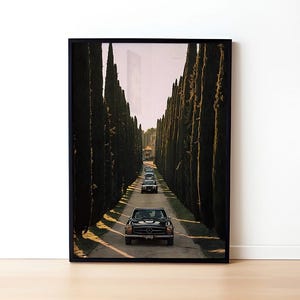 May include: A black vintage car drives down a long road lined with tall, dark green cypress trees. The car is surrounded by other black cars, creating a sense of luxury and elegance.