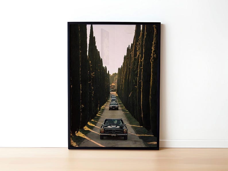 May include: A black vintage car drives down a long road lined with tall, dark green cypress trees. The car is surrounded by other black cars, creating a sense of luxury and elegance.