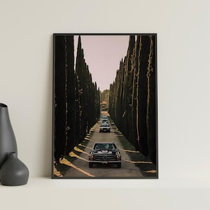 May include: A black vintage car drives down a long road lined with tall, dark green cypress trees. The car is in the middle of the road, with other cars in the distance.