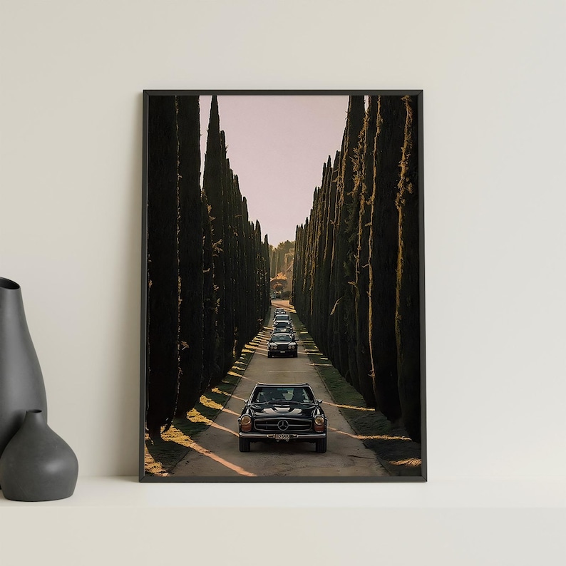 May include: A black vintage car drives down a long road lined with tall, dark green cypress trees. The car is in the middle of the road, with other cars in the distance.