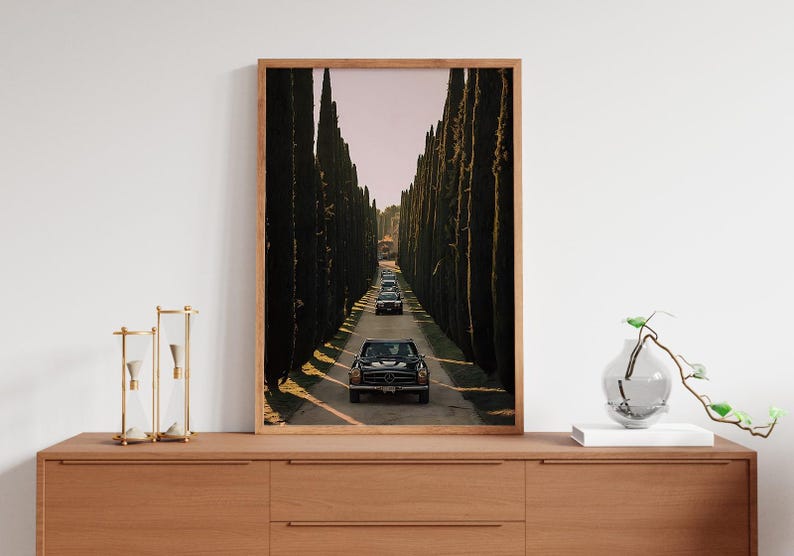 May include: A black vintage car drives down a road lined with tall, dark green cypress trees. The car is driving towards the viewer, and the road is lined with trees on both sides. The sky is a light pink color.