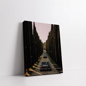 May include: A black car drives down a long, narrow road lined with tall, dark green trees. The road is paved and the trees are evenly spaced on either side.