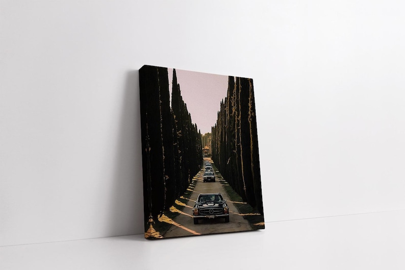 May include: A black car drives down a long, narrow road lined with tall, dark green trees. The road is paved and the trees are evenly spaced on either side.