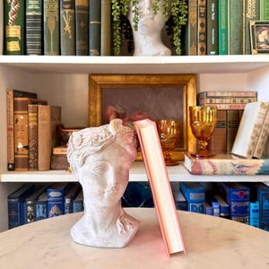 May include: A white bust of a woman with a pink book leaning against it. The book has a pink cover and white pages. The bust is on a marble table, with a background of bookshelves filled with books and decorative items.
