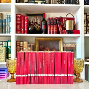 RARE Complete (Penguin Classics) RED Series | Out of Print & Highly Sought After | Set of 16 Paperbacks | Little Women, Wuthering Heights