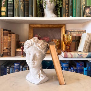 May include: A white plaster bust of a woman with a book propped against it. The bust sits on a marble table, with a backdrop of bookshelves filled with antique books, a framed painting, and amber glassware.