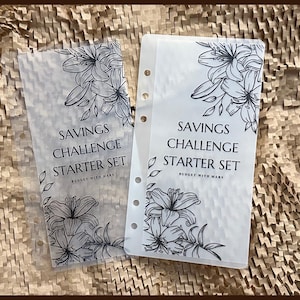 Savings Challenge Starter Set 2 | Vellum Cash Envelopes| Budget Envelopes| Cash Stuffing | Sinking Funds | Minimalist | A6| Binder | MATTE