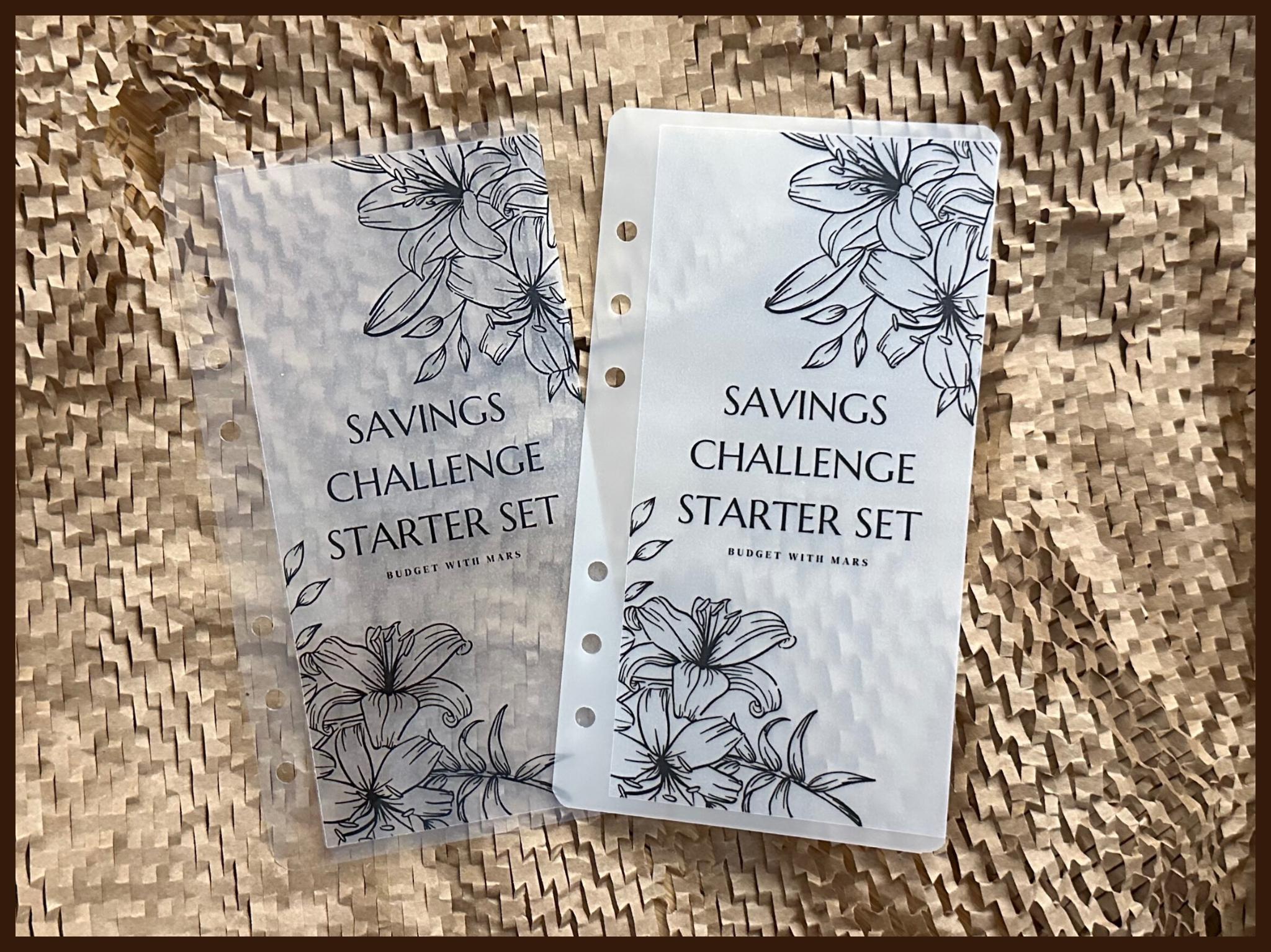 Savings Challenge Starter Set 2 | Vellum Cash Envelopes| Budget Envelopes| Cash Stuffing | Sinking Funds | Minimalist | A6| Binder | MATTE