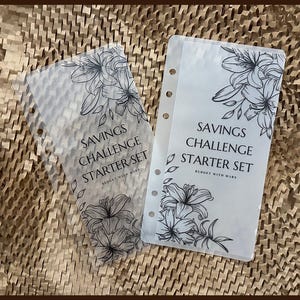 Savings Challenge Starter Set 1 | Vellum Cash Envelopes | Budget Envelopes | Cash Stuffing | Sinking Funds | Minimalist | A6 | MATTE |GLOSS