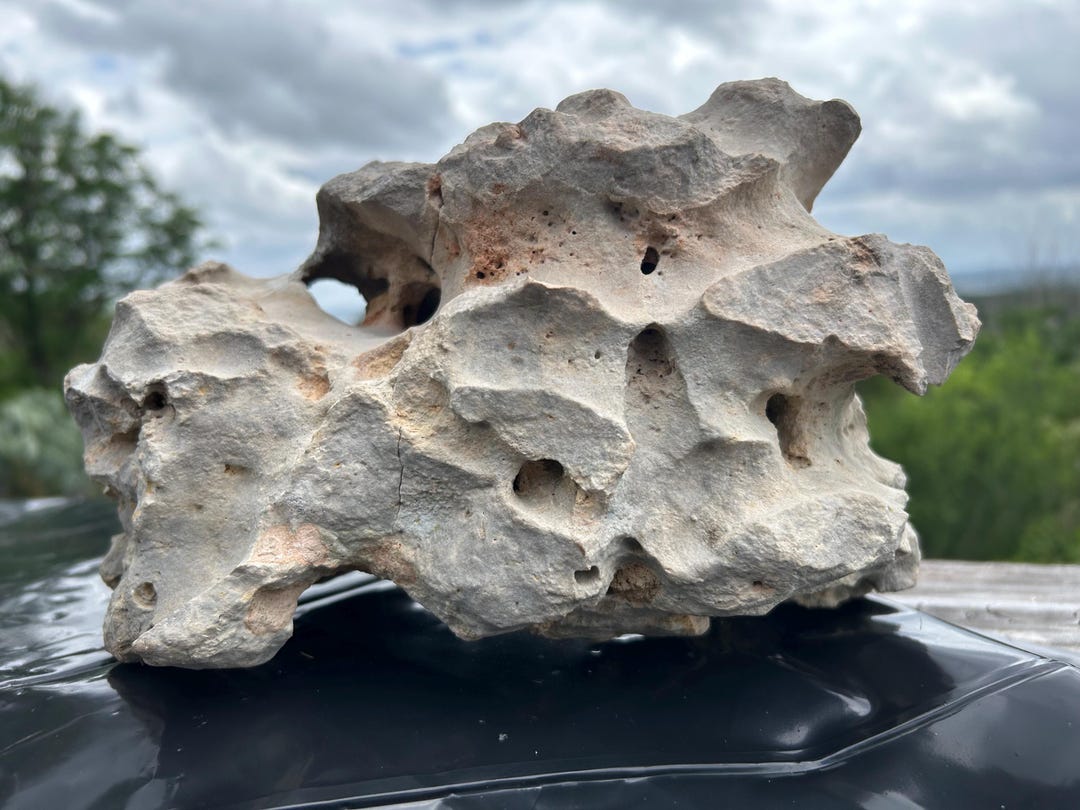Large Texas Holey Rock, Limestone Fossil Rock - Etsy