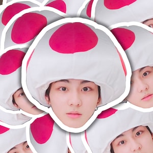 Adesivos de vinil Enhypen Jungwon: decoração de quarto Kpop
