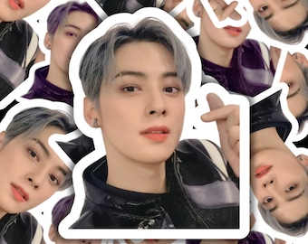 Astro Cha Eunwoo stickers, Astro Cha Eunwoo Cute Photo Stickers Merch, Gift Ideas for Kpop Fans | Astro Korean Pop | Gift for Aroha Fan