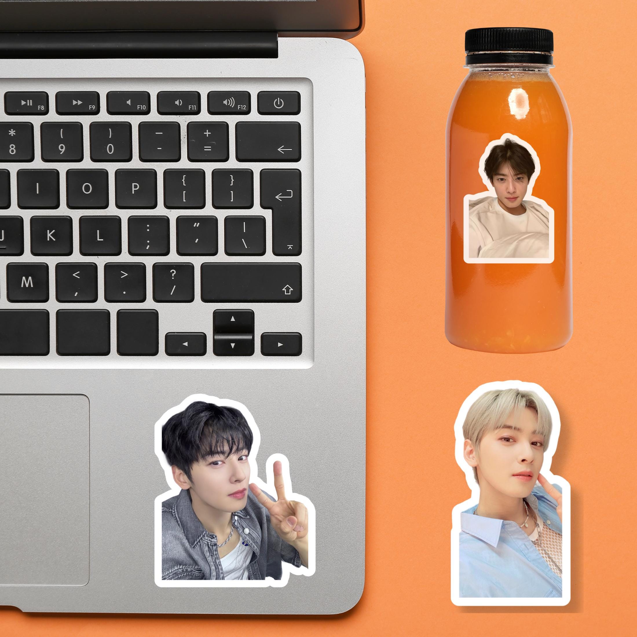 10 pcs of Astro Cha Eunwoo stickers, Astro Cha Eunwoo Cute Photo Stickers Merch, Gift Ideas for Kpop Fans | Gift for Aroha Fan
