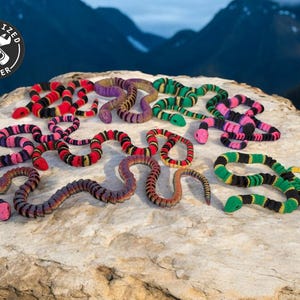 Könnte beinhalten: Eine Sammlung bunter Gummischlangen in verschiedenen Mustern, darunter rosa, schwarz, grün und rot. Die Schlangen sind auf einer felsigen Oberfläche mit einem Berg im Hintergrund angeordnet.