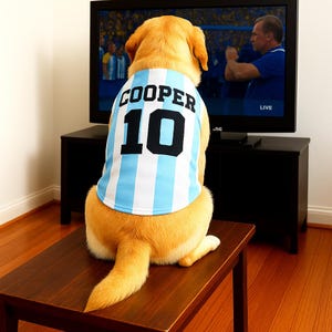 Custom Dog Football Jersey | Personalized Pet Shirt with Name & Number | Game Day Dog Outfit | Gift for Dog Lovers and Sports Fans