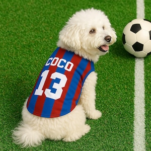 Custom Sports Dog Jersey with Name & Number | Game Day Pet Outfit | Football, Basketball, Softball, Soccer | Dog Fan Gift