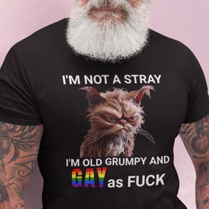 Grumpy Gay Cat Shirt | Funny LGBTQ Pride Graphic Tee |Rainbow Text Sarcastic Cat Meme TShirt | Queer Humor Gift | Gay Tshirt | Pride tShirt