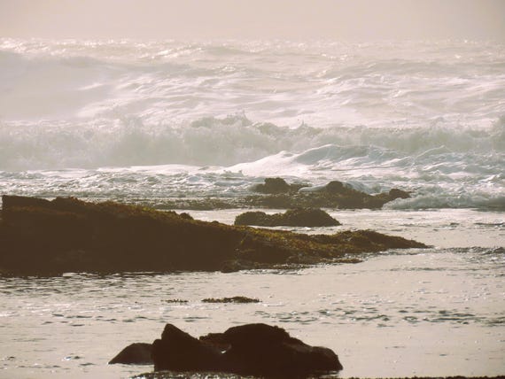 High waves in the fog crash against the shore, their crests frothing with whitecaps that dance in the thick fog. Both calming and powerful