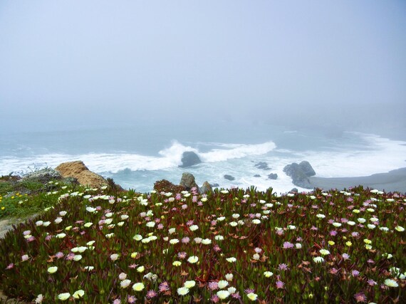 Foggy beach day in Bodega Bay, California