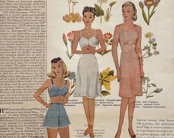 Vintage Fashion/Style Poster mit floralem Hintergrund und gepressten Blumen