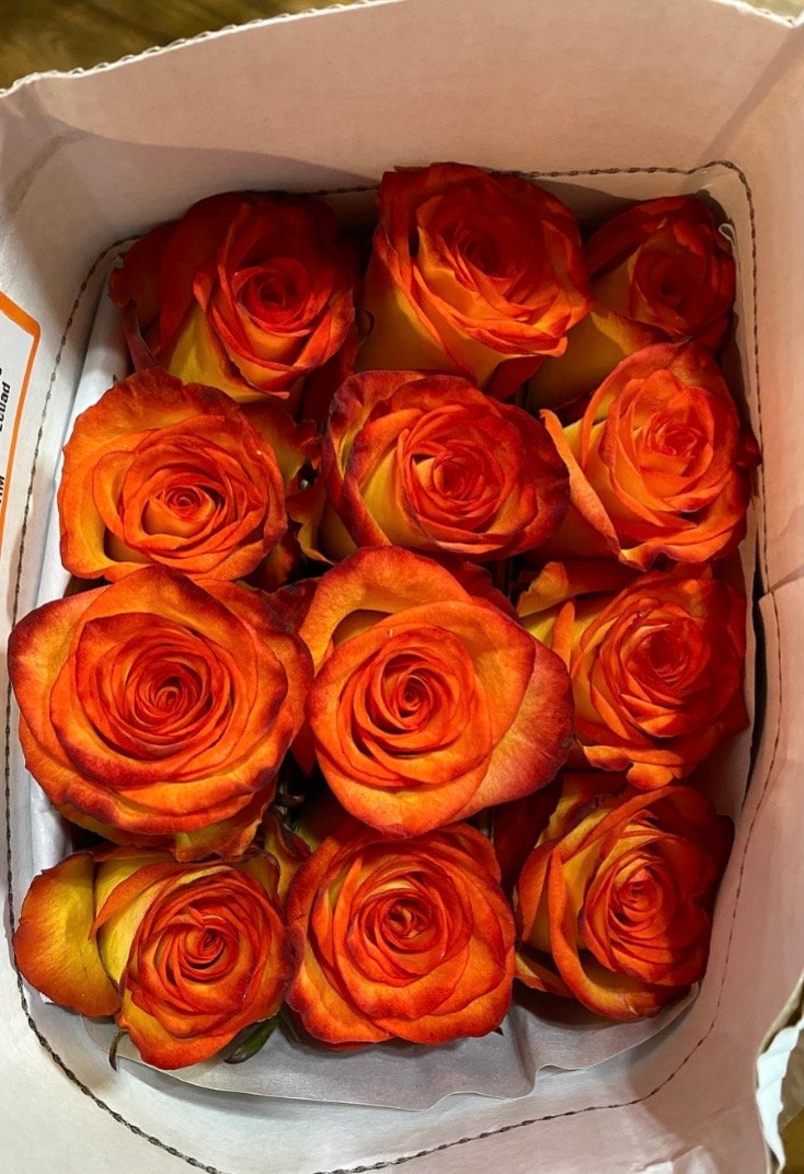 Fresh Cut Roses Roses High Magic Fresh Orange Roses Wedding Flowersdiy ...